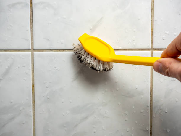 Best Black Mold Remediation in Prosperity, WV