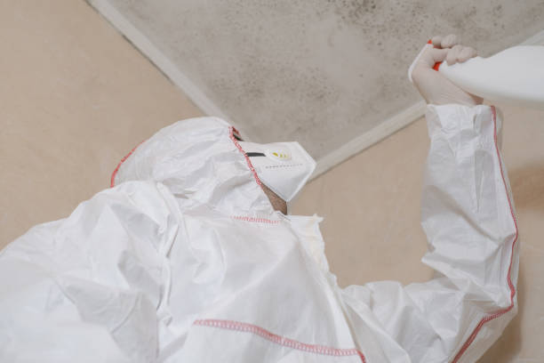 Best Mold Remediation for Specific Building Types in Prosperity, WV